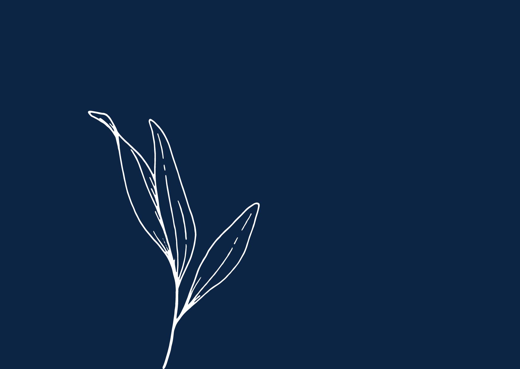 Psychologue Boulieu les Annonay
Psychologue pour enfants adolescents, familles, couples, 
Catherine Delaty